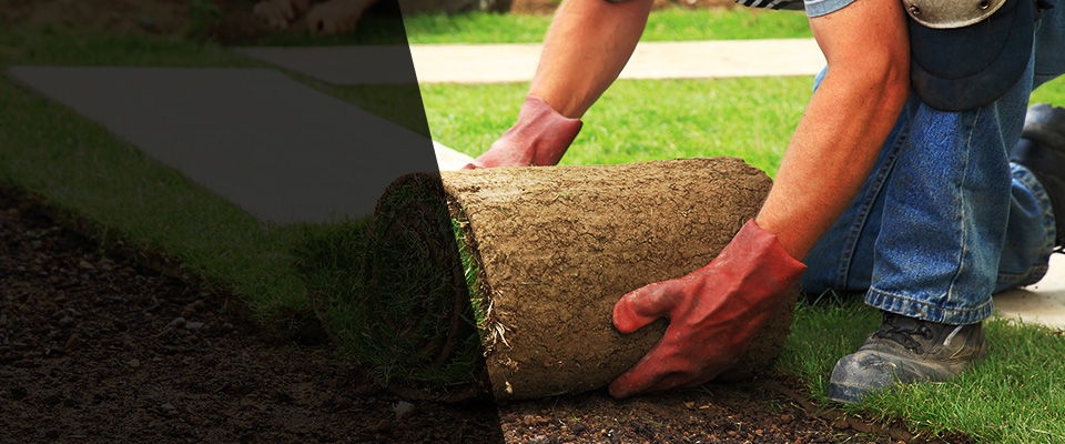 Taylorville Landscapers